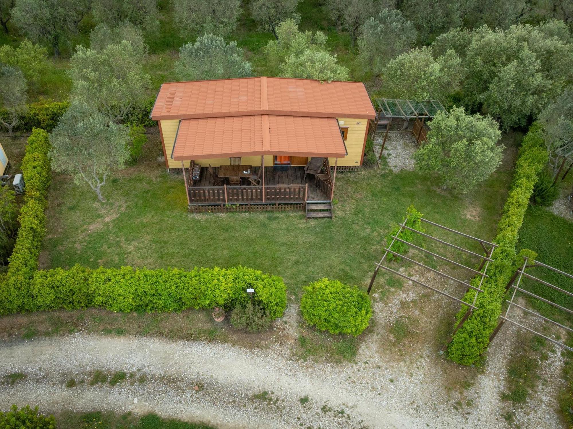Agriturismo Nonna Stella Bibbona Exterior photo